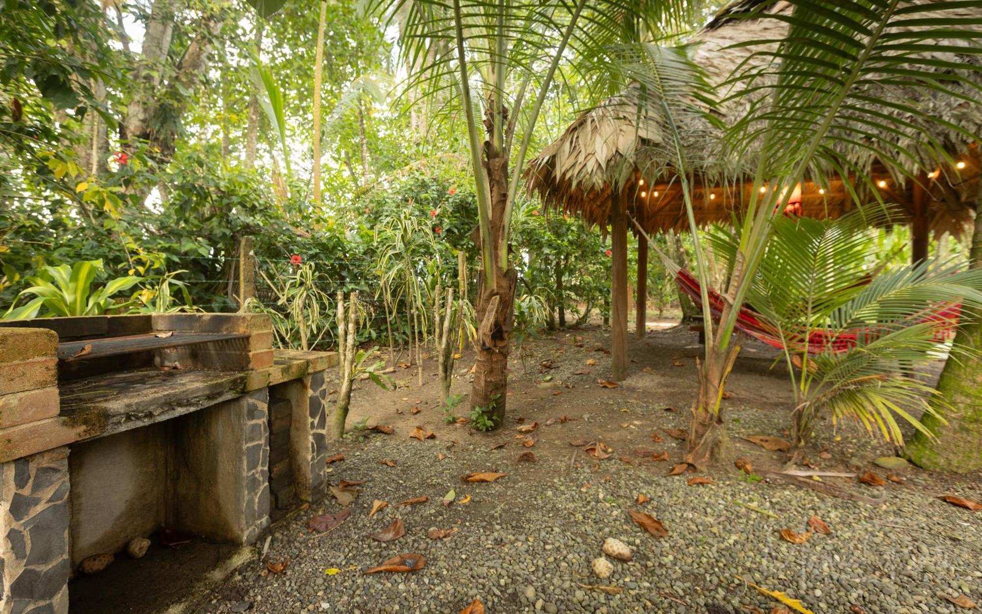 Our Beachfront Bungalow Punta Uva Kültér fotó